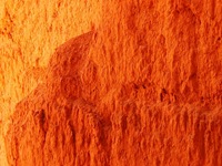 P1010696