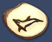 Dolphin