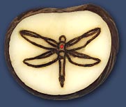 Dragonfly Dragonfly