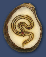 Snake Snake