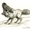 Fox Feathers
