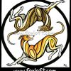 Yin Yang Dogs - Whippets - Frolic