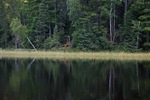 northernwaters