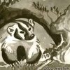 Badger Kind of Morning