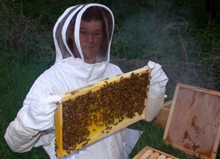 fox_beekeeping
