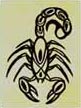 Scorpion Scorpion