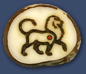Lion Lion