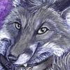 Fox Badge