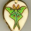 Lunar Moth