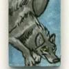 Wolf and Dolphin