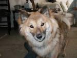 A young Kimahri. He's so fluffy! A young Kimahri. He's so fluffy!