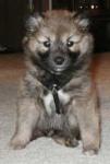 From day one: All sass. From day one: All sass.