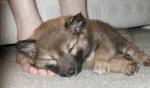 Another favorite pillow: feet. Another favorite pillow: feet.