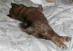 Lounging on the bed. Lounging on the bed.
