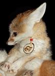 Shiva models one of my tagua pendants, showing off her inner ferret. Shiva models one of my tagua pendants, showing off her inner ferret.