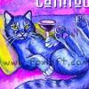 Cattitude