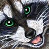 Raccoon Badge