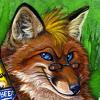 Ken Fox Badge