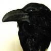 Raven Mask