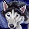 Sofawolf