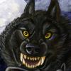 Storm Badge
