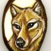 Thylacine Tagua