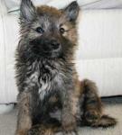 Kimahri's first bath. He wasn't too happy about it. Kimahri's first bath. He wasn't too happy about it.