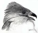 Warshrike