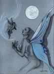 Winter Faerie