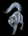 White Wolf