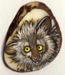 Aye-Aye Tagua
