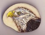 Eagle Tagua