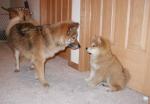 Kimahri meets his little sister for the first time. Kimahri meets his little sister for the first time.