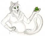 Cat and Frog