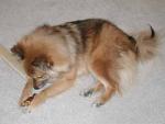 Kimahri chewing on a bone. Kimahri chewing on a bone.