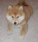 Kimahri's sister Rikku, nothin' but trouble! Kimahri's sister Rikku, nothin' but trouble!