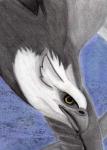 Bald Eagle Griffin