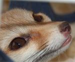Closeup! Closeup!