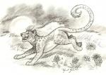 Leopard Run