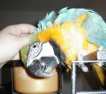 Ooh, that's the spot! Ooh, that's the spot!