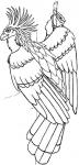 Hoatzin Warrior