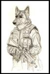 Hondo