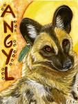 Painted Dog