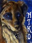 Niko Badge