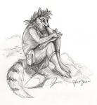 Numbat Girl