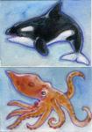 Orca Octopus