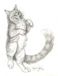 Dance Dance Dance