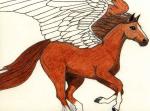 Pegasus
