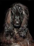 Mugshot!