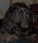 Such a pretty boy!